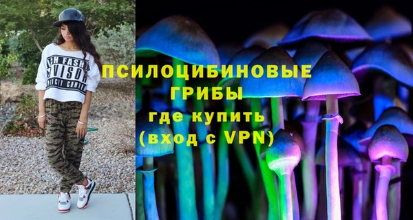 гидра Абаза
