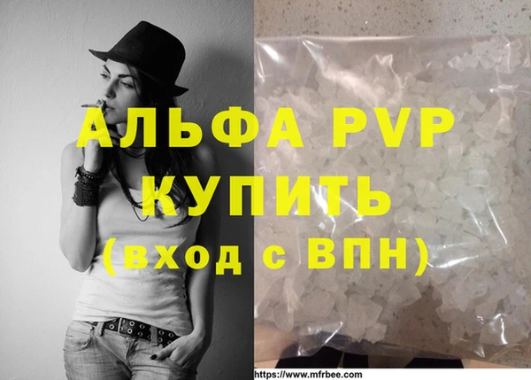 гидра Абаза