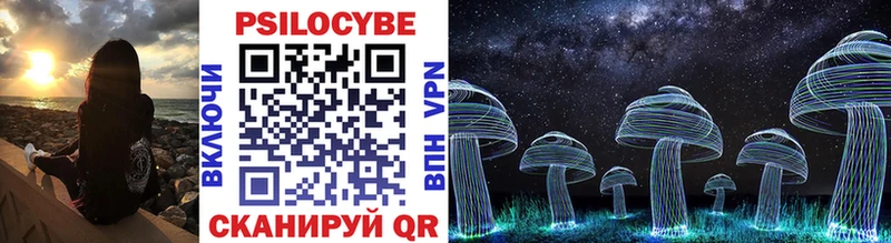 Галлюциногенные грибы Psilocybe  как найти   Чердынь 